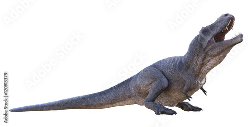 3D rendering of Tyrannosaurus Rex basking in the sun  isolated on a white background.