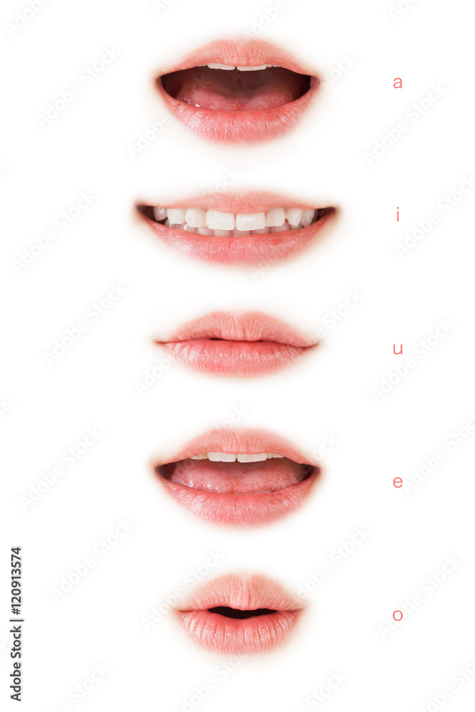 Naklejka premium 人の口