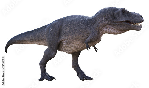 3D rendering of Tyrannosaurus Rex looking for a meal, isolated on a white background. © Herschel Hoffmeyer