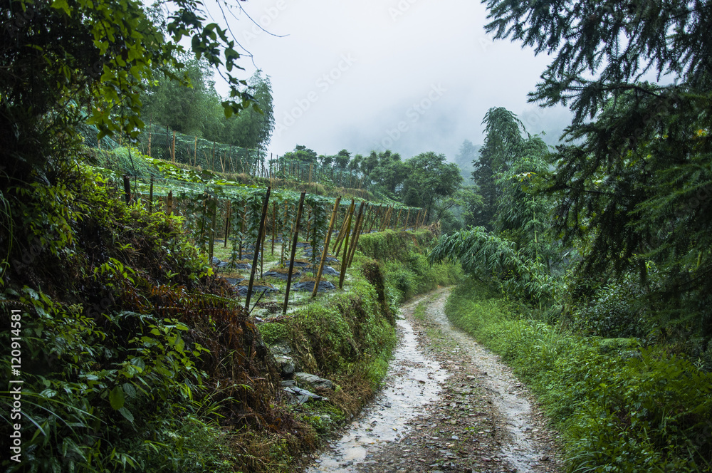 Mountains scenery in the rain and mist Mountains scenery in the rain and mist