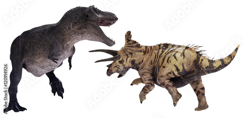 3D rendering of Tyrannosaurus Rex facing off against Triceratops horridus, isolated on a white background. © Herschel Hoffmeyer