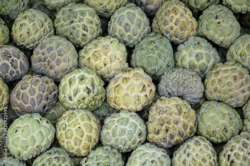 green Sugar Apple fruit green Sugar Apple fruit