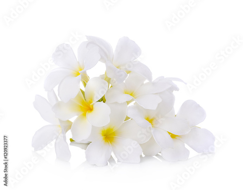 Tropical flowers frangipani (plumeria) © anatchant