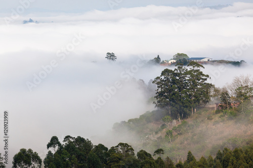 Misty Cloud Valley Hills farming countryside landscape photo