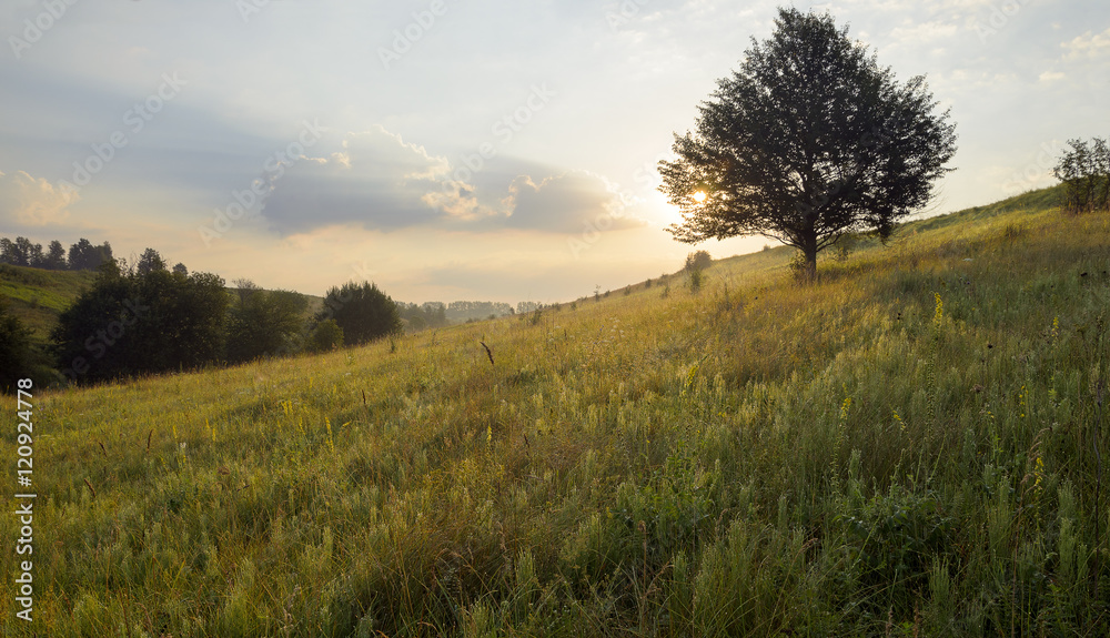 Summer morning.landscape of Tula region,Russia. Summer morning.landscape of Tula region,Russia.