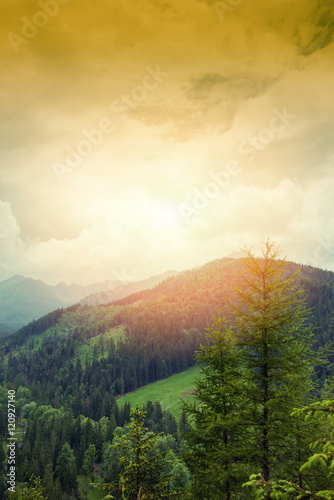 Mountain landscape in summer