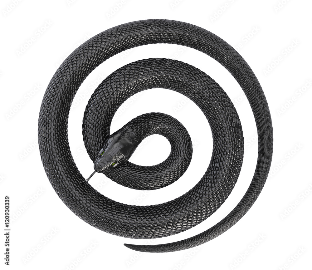 Fototapeta premium Twisted Black Snake on White Background. 3D illustration