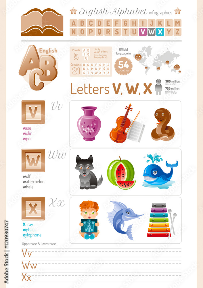 Vector illustration table. English alphabet ABC icon set in elegant style.  Letter V, W, X infographics with toy block, symbol - vase, violin, viper,  wolf, watermelon, whale, X-ray, xiphias, xylophone Stock Vector