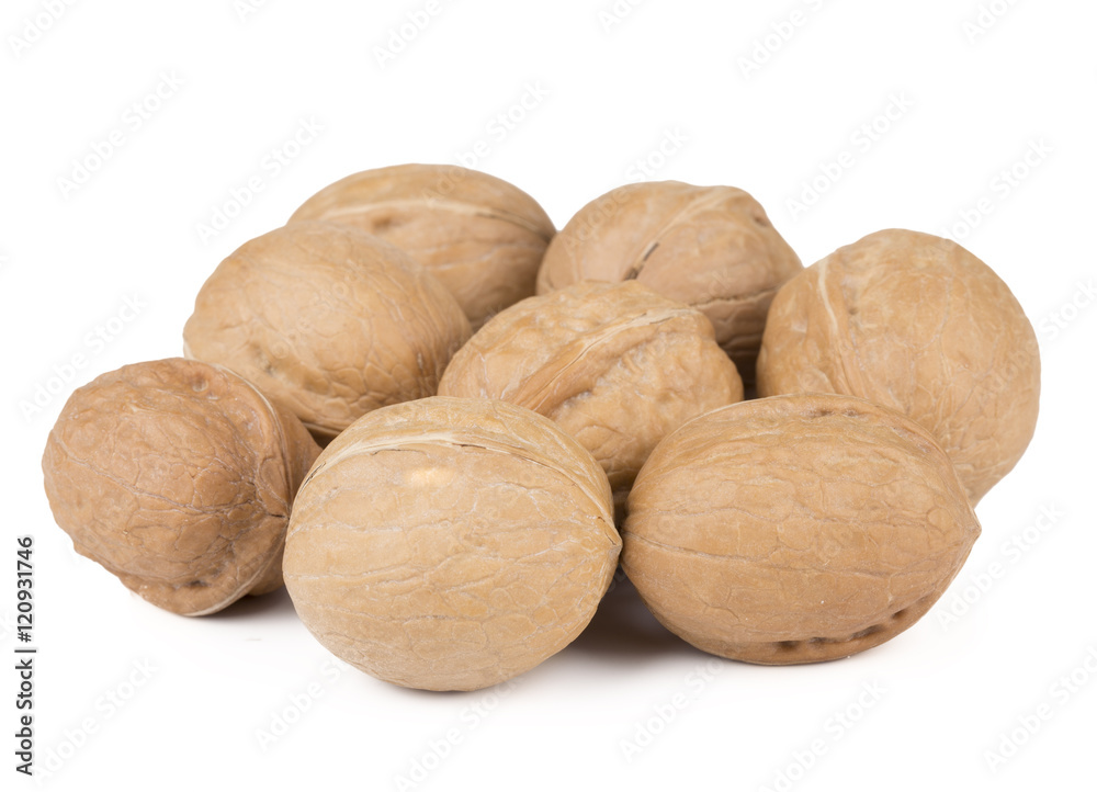 Close-up of Walnut on the white background Close-up of Walnut on the white background