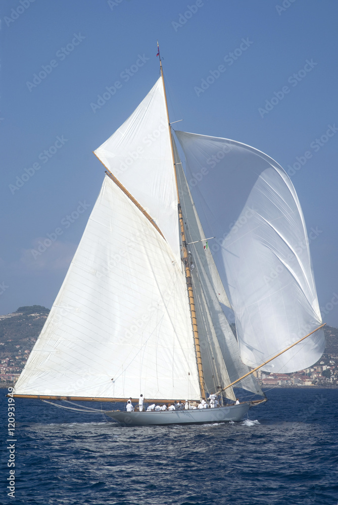 Naklejka premium Sail boat