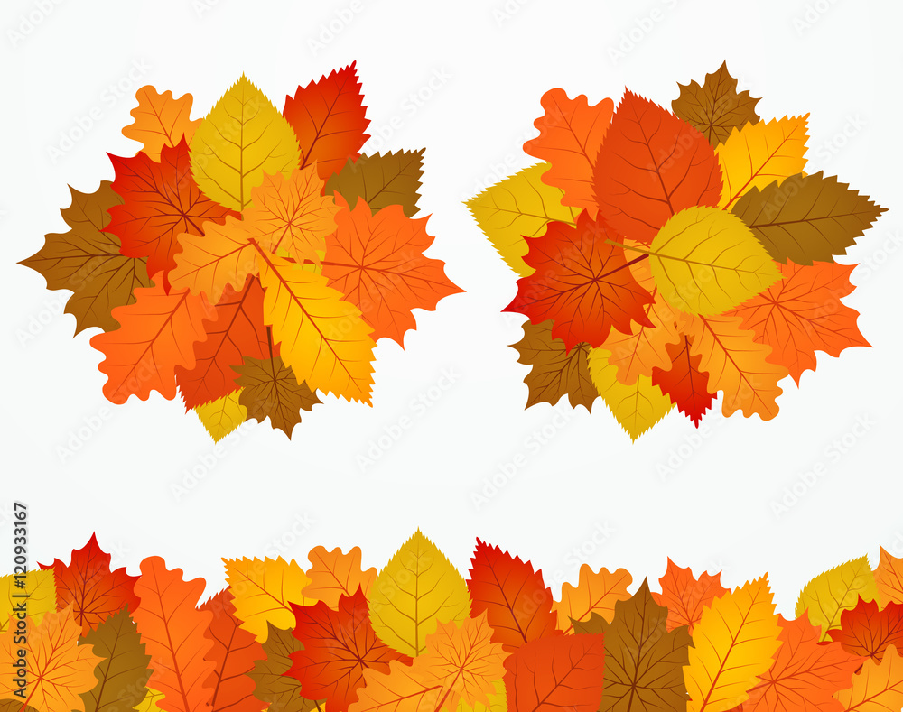 Colorful autumn foliage banners. Design with autumn  leaves on w