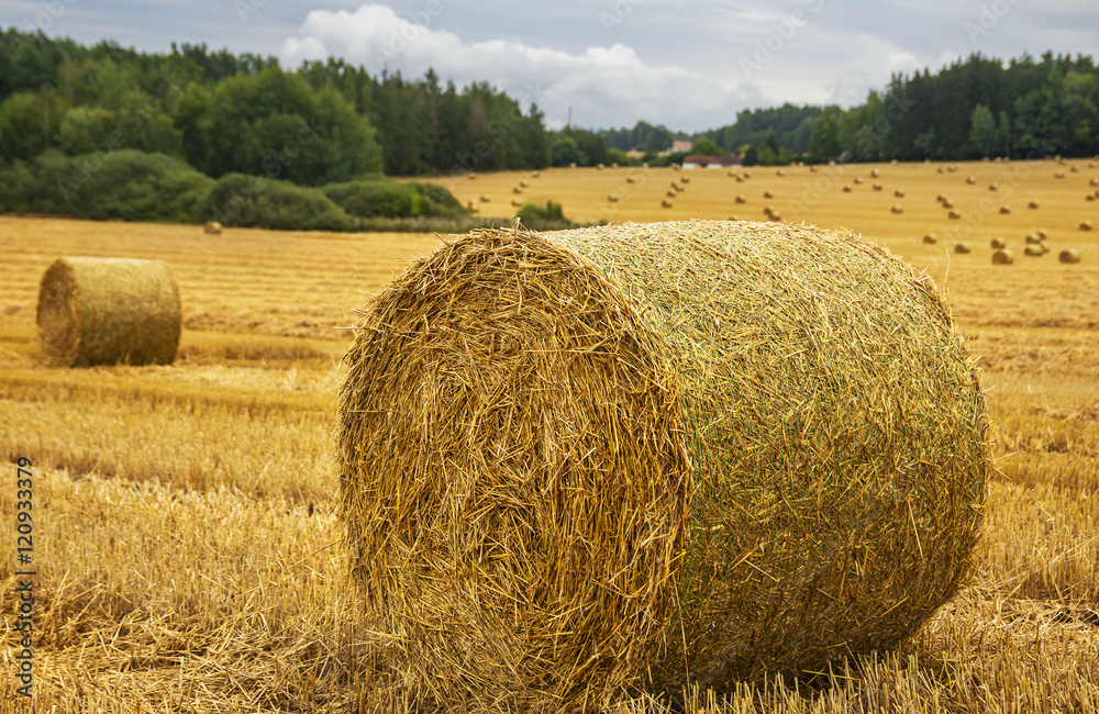Harvest field with straw bale - close up.