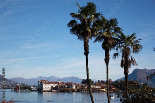 Wallpaper Mural Palms at Lake Maggiore view to Isola Bella from Stresa, Piedmont Italy

--------------------------------------------------------------------------------
 Torontodigital.ca