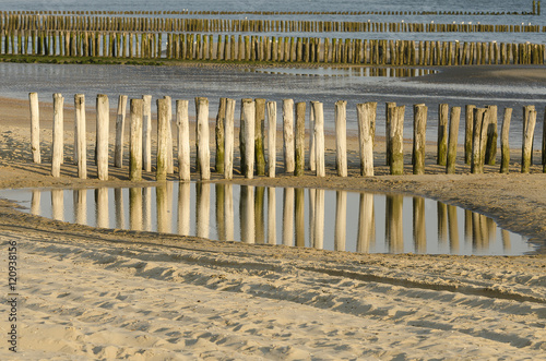 Rows groynes on the beach.