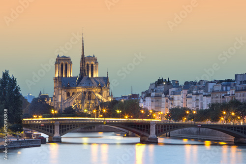 church Notre Dame de paris at night  Paris  France