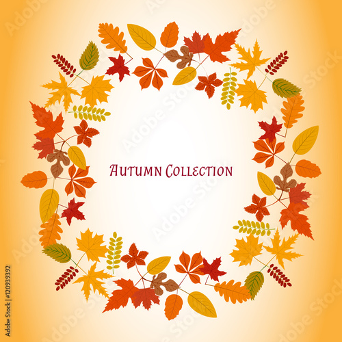 Autumn leaves frame. Vector illustration. Floral abstract pattern. Fashion Graphic Design. Symbol of autumn  eco and natural. Bright colors leaves. Template for card  banner  wrapping and decoration.