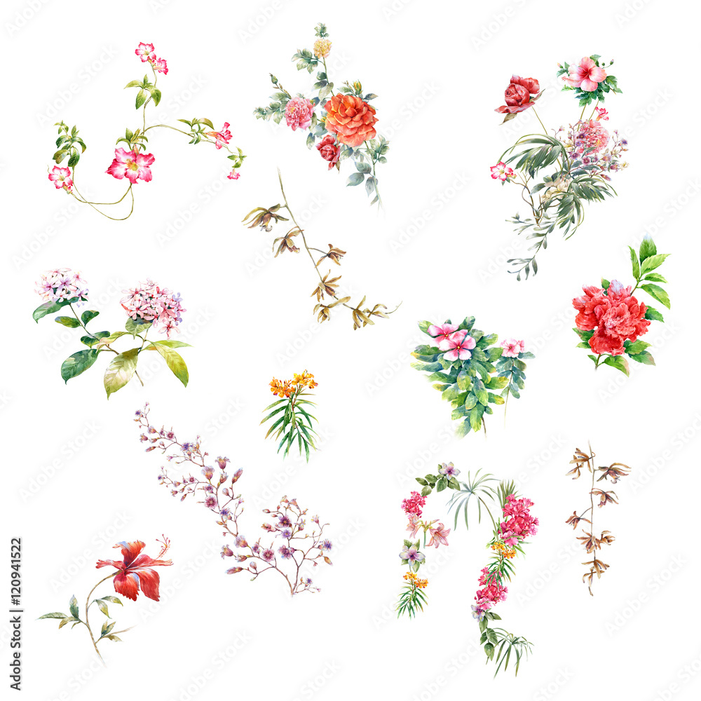 watercolor painting of leaves and flower, on white background