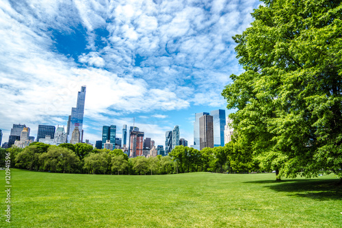 Fototapeta Naklejka Na Ścianę i Meble -  Skyline von New York vom Central Park