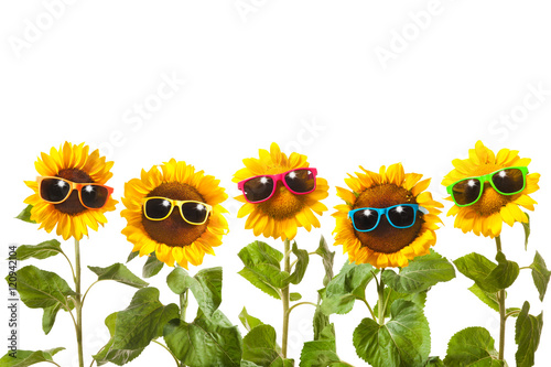 Fototapeta Naklejka Na Ścianę i Meble -  Sunflowers with sunglasses