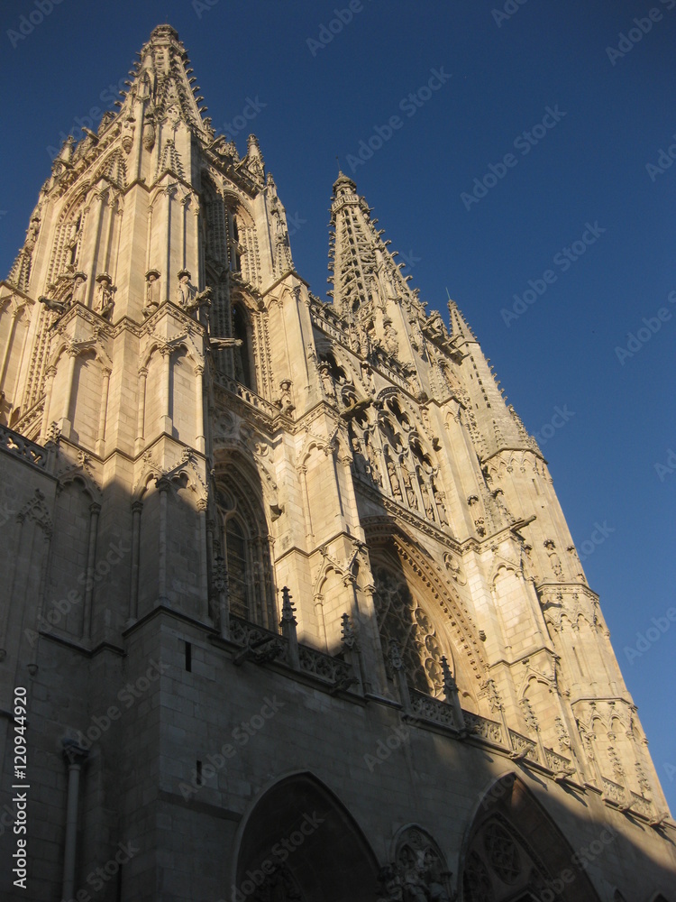 Catedral de Burgos. 