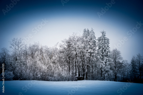 Winter Landscape © Jurapix