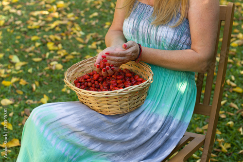 Woman sitting on a wooden chair and holding a wicker basket full of ripe red rose hip. Autumn season in the garden.