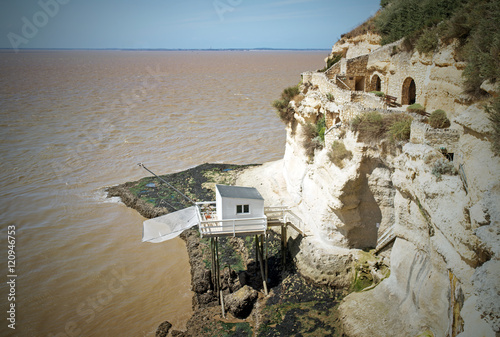 troglodyte à Talmon sur gironde photo