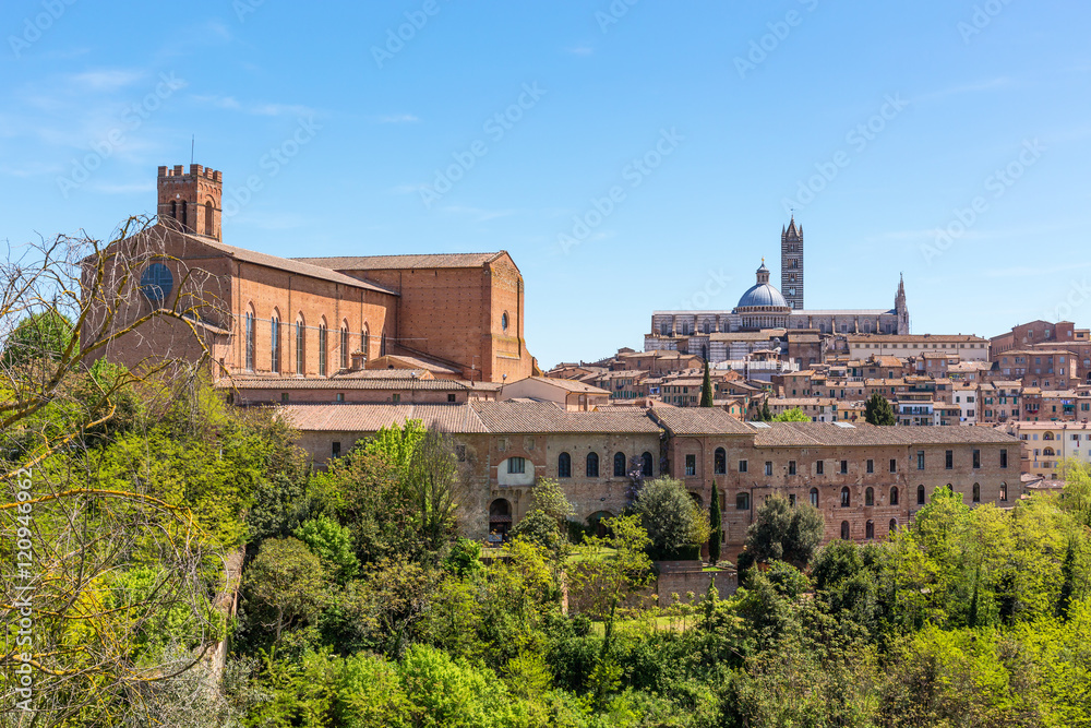 View of the city of Siena in Italy Duomo di Siena and cateriniana San Domenico
