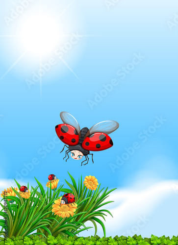 Ladybug flying in the garden