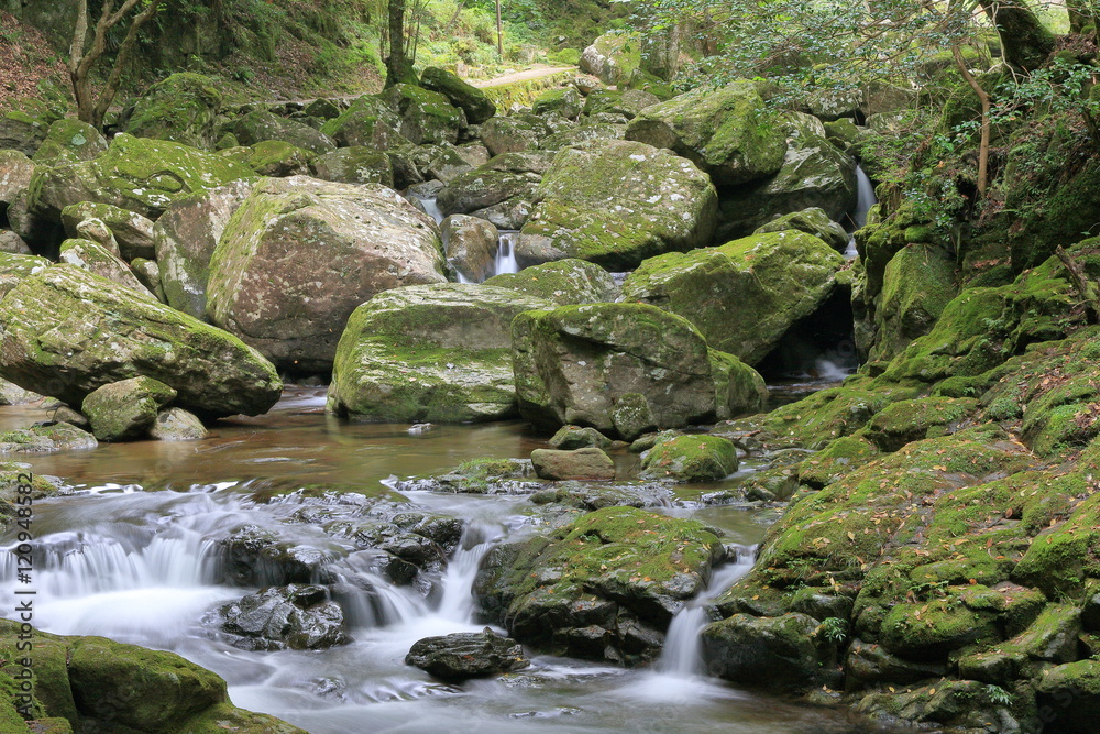 Akame(Red-Eye) 48 waterfalls valley Mie pre. Japan Akame(Red-Eye) 48 waterfalls valley Mie pre. Japan