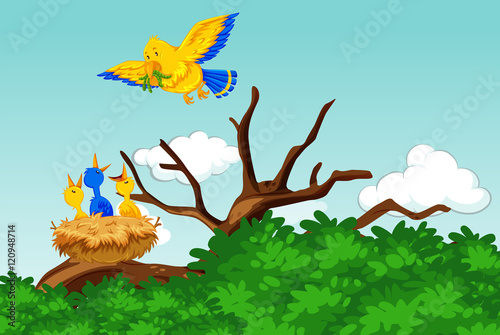 Mother bird feeding the babies with worms