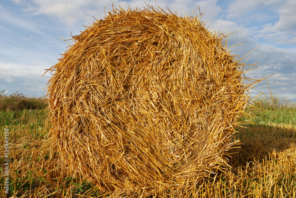 Golden hay bale on sky background Golden hay bale on sky background
