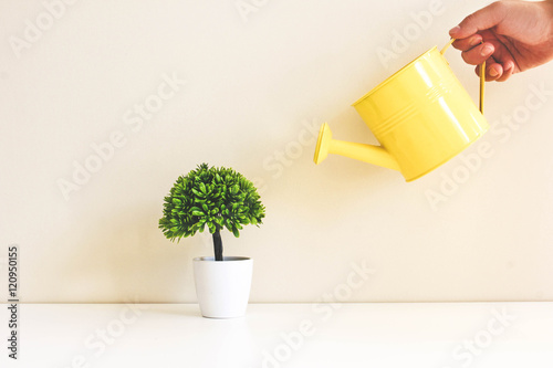 Man watering a green tree yellow watering can