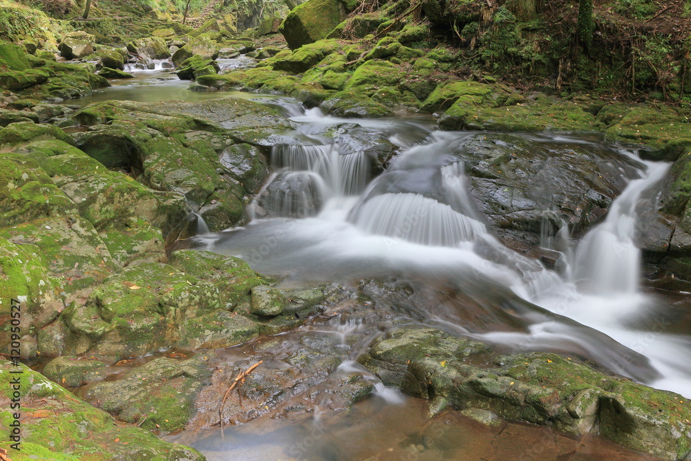 Fototapeta premium Akame(Red-Eye) 48 waterfalls valley Mie pre. Japan