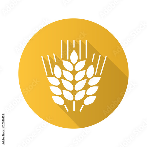 Wheat ears flat design long shadow icon