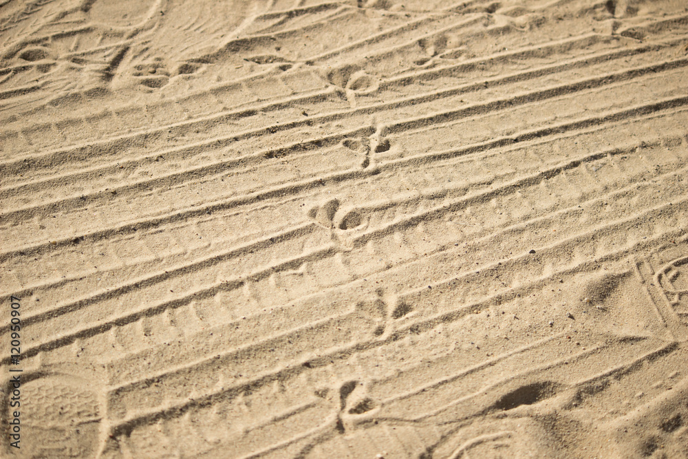 Tire tracks, people and birds in the sand Tire tracks, people and birds in the sand