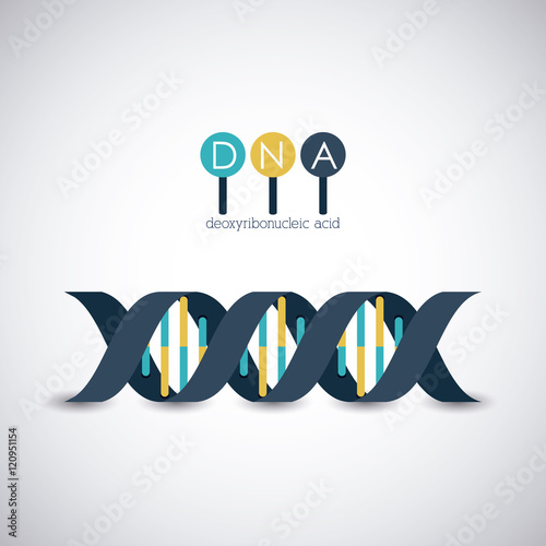 Dna structure chromosome icon. Science molecule genetic and biology theme. Isolated design. Vector illustration