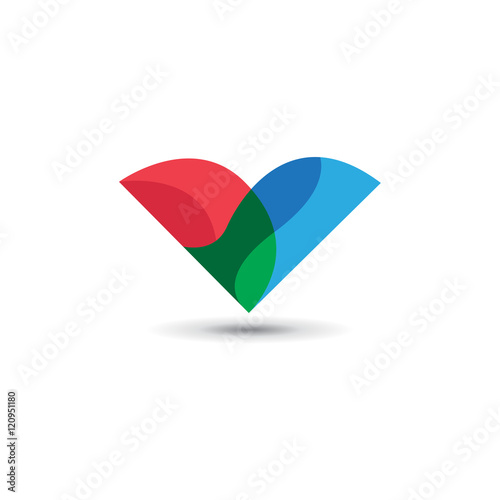 Flying V Bird Logo photo
