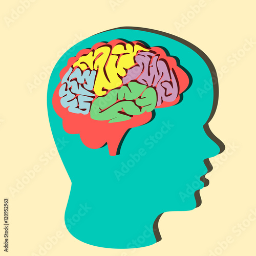 Paper brain illustration