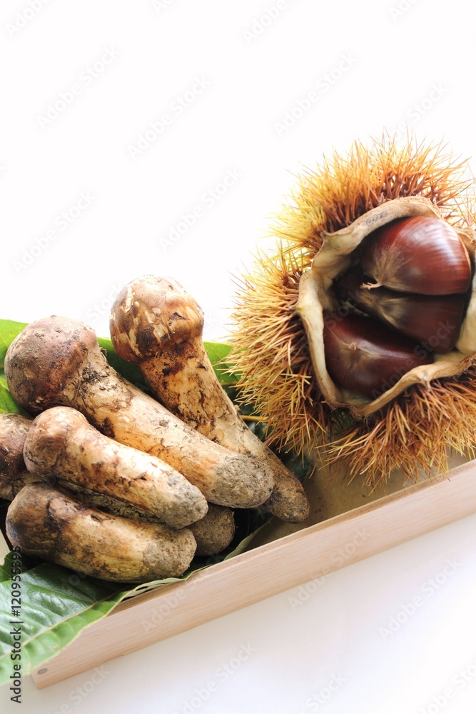 Obraz premium 松茸と栗