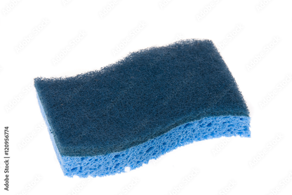Blue Scouring Sponge Blue Scouring Sponge