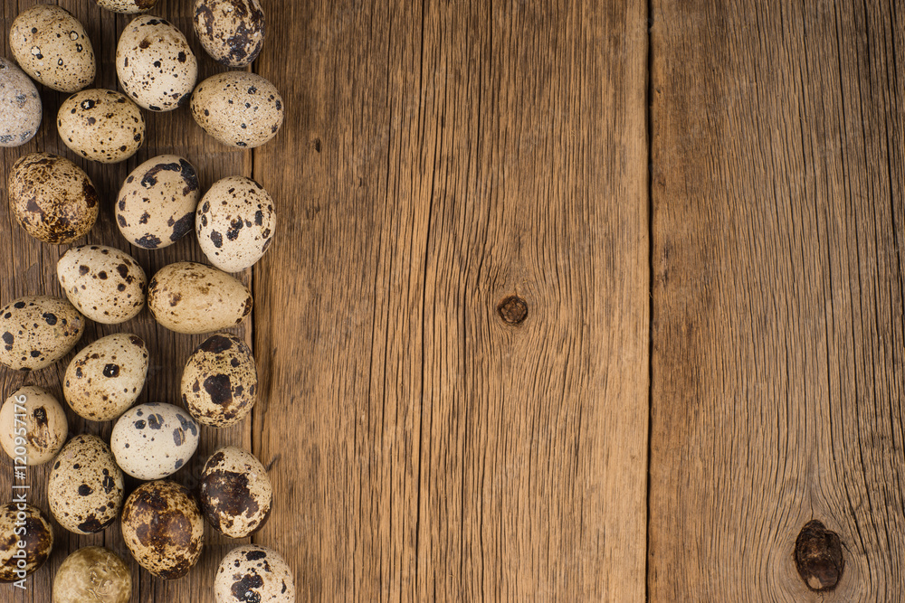 quail eggs quail eggs