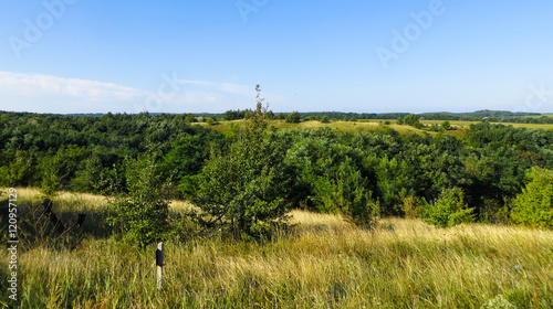 Beautiful summer landscape