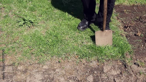 Timelapse of a man using a spade to dig out and  remove  a section of grass turf in a garden while preparing to create a flower bed.