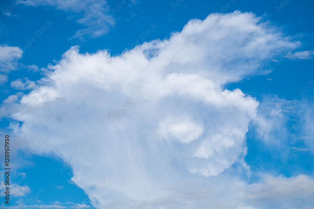 Blue sky cloud imagine similar goat horn roll