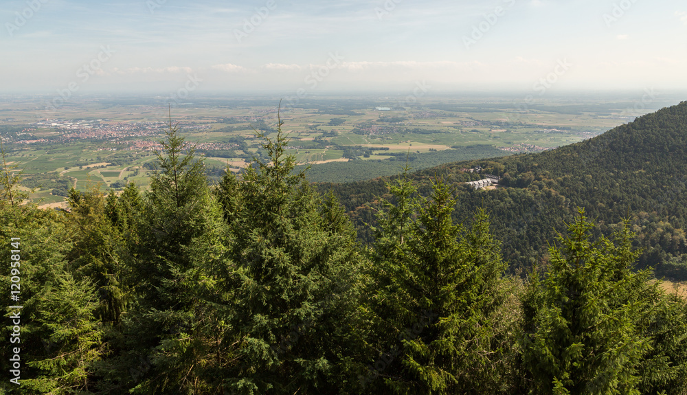 Fototapeta premium La plaine d'Alsace depuis le mont Ste Odile