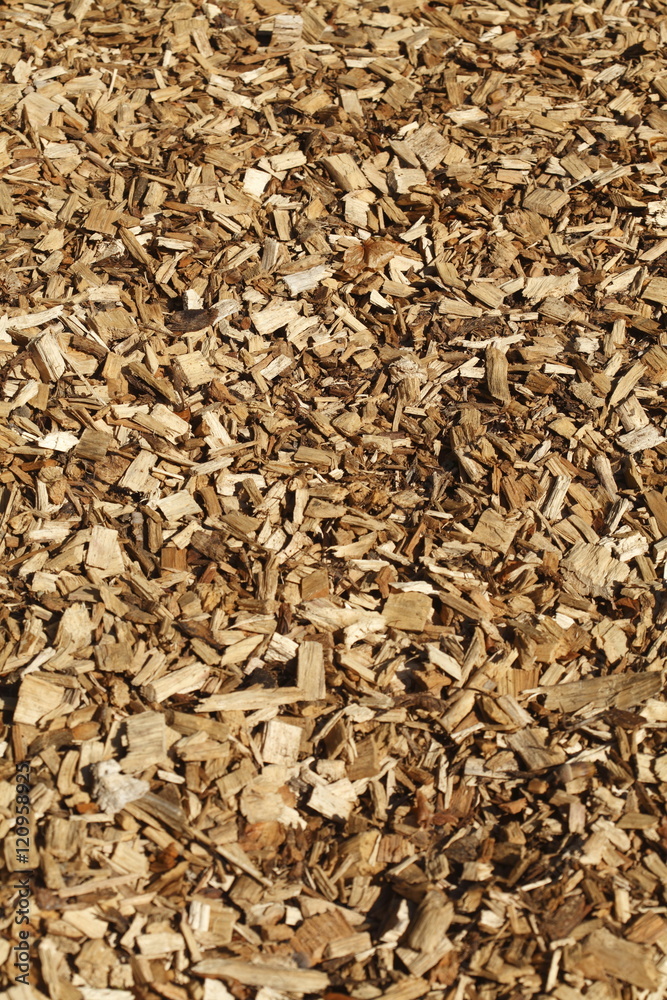 Rindenmulch16DG013.JPG Rindenmulch16DG013.JPG