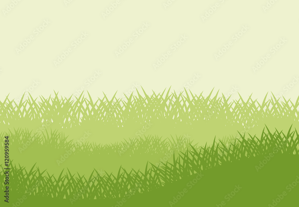Fototapeta premium Green grass icon. lawn plant nature and field theme. Frame design. Vector illustration