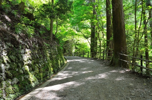 京都 鞍馬寺