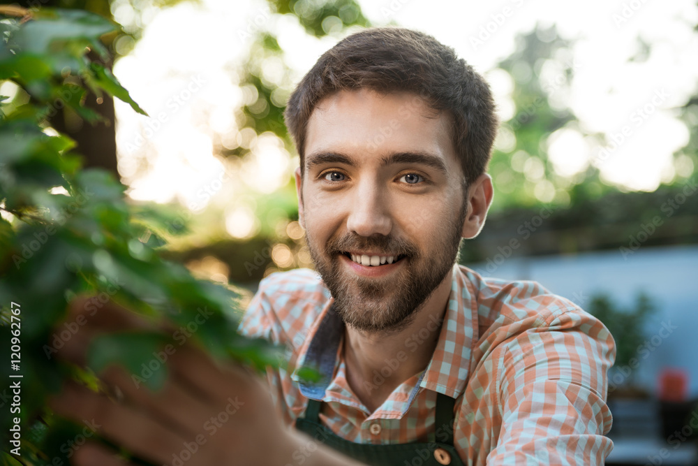 Young handsome cheerful gardener smiling, taking care of plants.